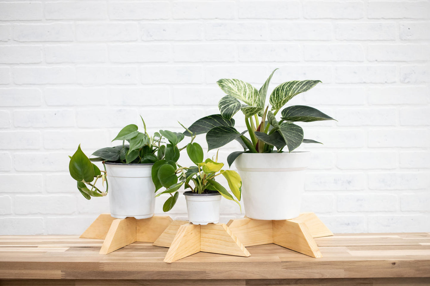 Set of 3 Elevated Wood Plant Stands