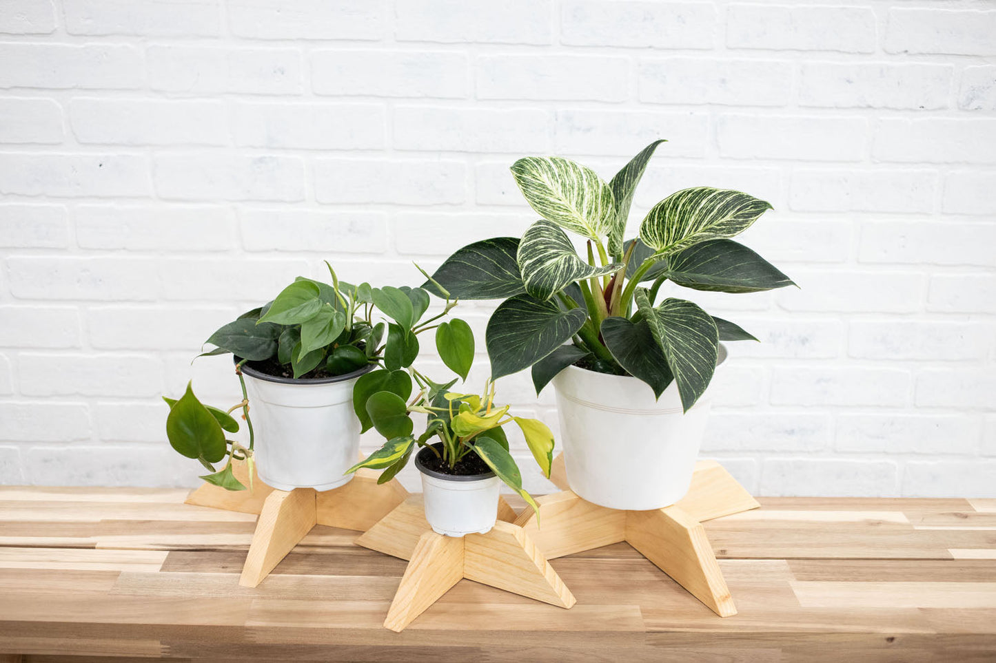 Set of 3 Elevated Wood Plant Stands